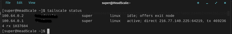 File:Tailscale Status.png